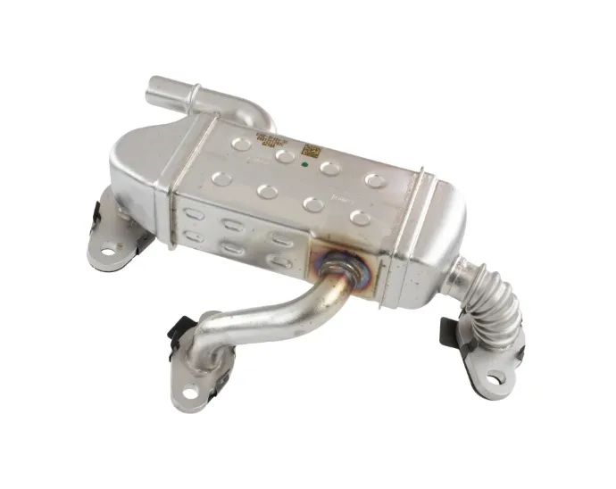 Screenshot 2026-02-01 222442.webp